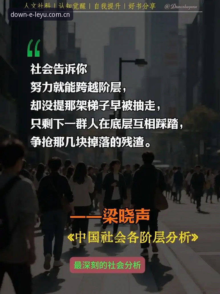 深度揭秘：乐鱼最新版本为何让老用户黄婷直呼“早该升级”？