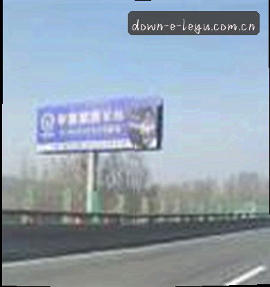赵欣